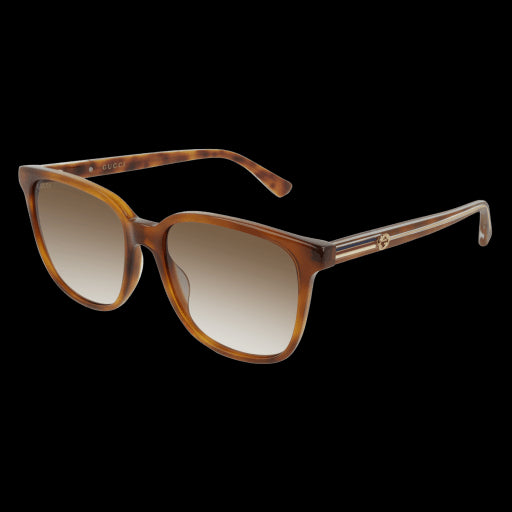 Gucci Sunglasses GG0376S 004
