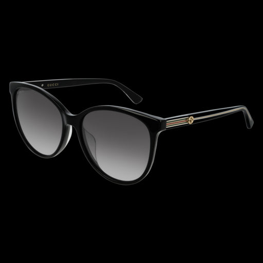 Gucci Sunglasses GG0377SKN 001