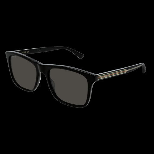 Gucci Sunglasses GG0381S 002