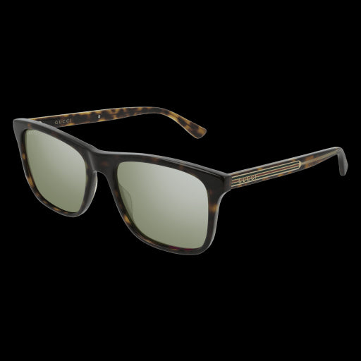 Gucci Sunglasses GG0381S 003