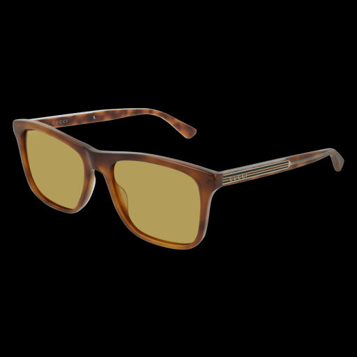 Gucci Sunglasses GG0381S 005