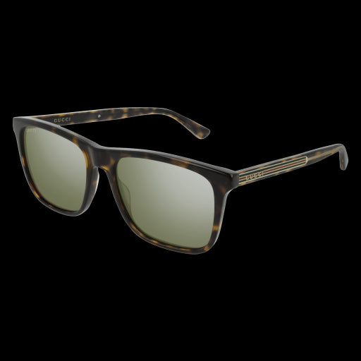 Gucci Sunglasses GG0381S 008