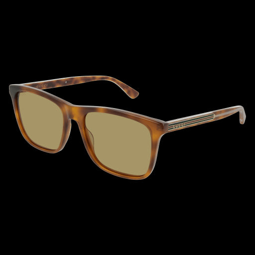 Gucci Sunglasses GG0381S 010