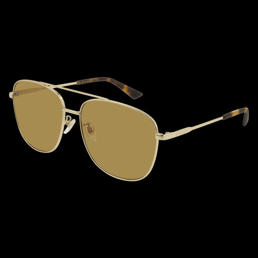 Gucci Sunglasses GG0410SK 004