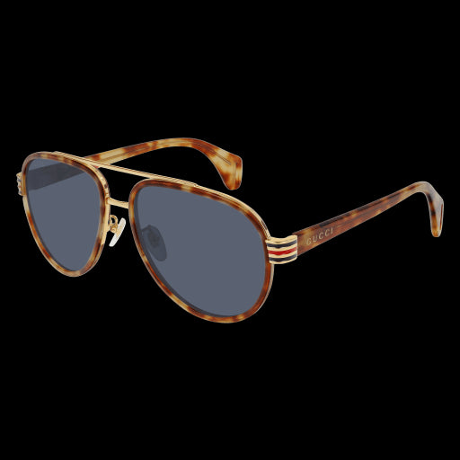 Gucci Sunglasses GG0447S 005