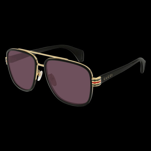 Gucci Sunglasses GG0448S 003