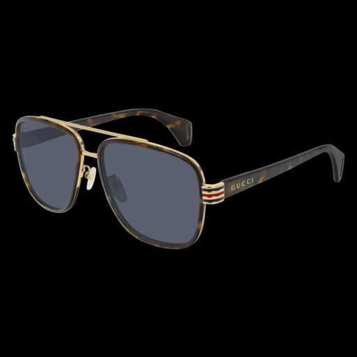 Gucci Sunglasses GG0448S 004