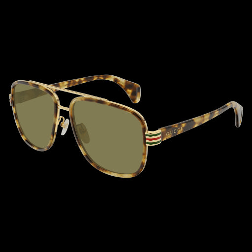 Gucci Sunglasses GG0448S 005