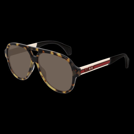 Gucci Sunglasses GG0463S 005