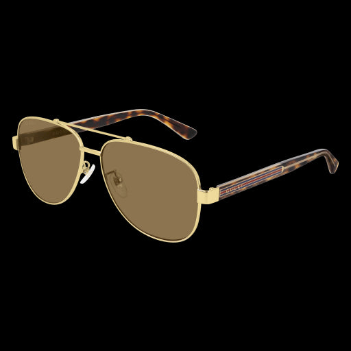 Gucci Sunglasses GG0528S 003