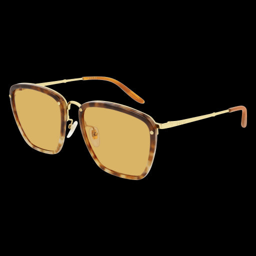 Gucci Sunglasses GG0673S 005