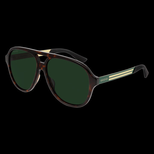 Gucci Sunglasses GG0688S 003