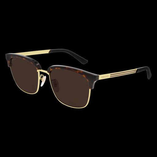 Gucci Sunglasses GG0697S 002