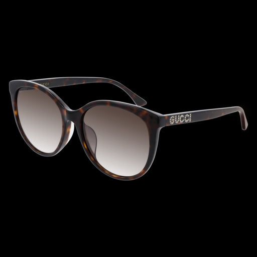 Gucci Sunglasses GG0729SA 002