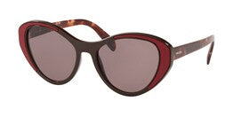 Prada Catwalk Sunglasses PR14US YEO6X1